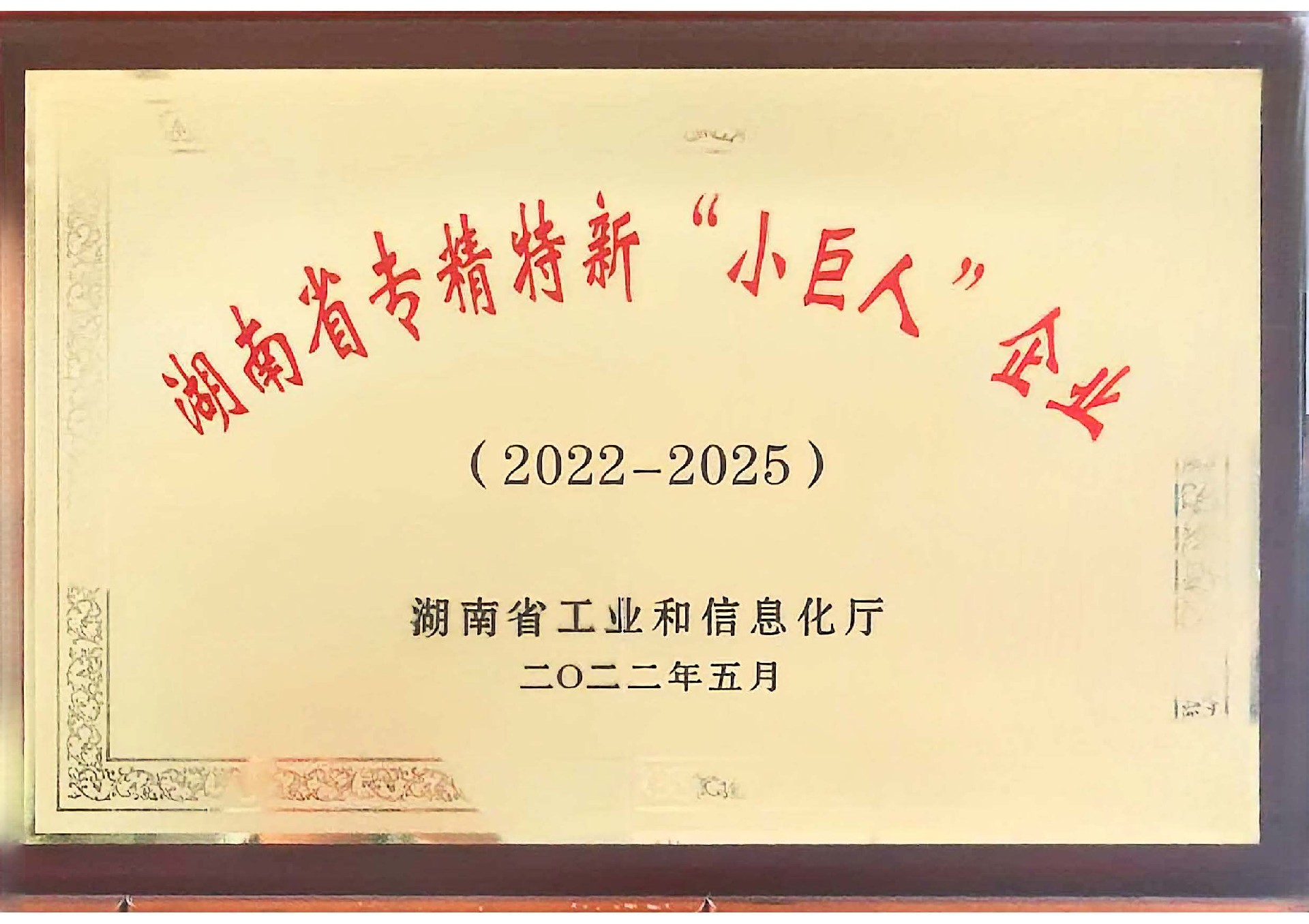 专精特新